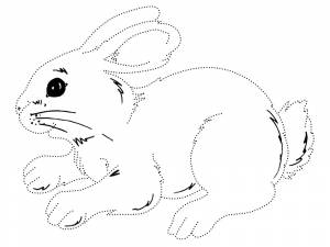 Нарисовать по точкам и раскрасить зайцы очень просто с нашими картинками
