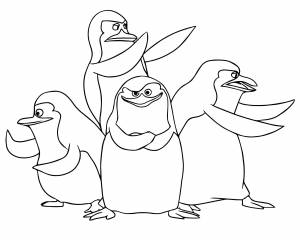 Пингвины из Мадагаскар