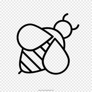 Западная медоносная пчела Майя Книжка-раскраска Рисунок, пчелка, медоносная пчела, белый png