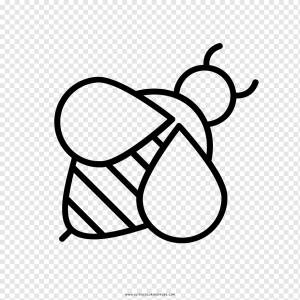 Западная медоносная пчела Майя Книжка-раскраска Рисунок, пчелка, медоносная пчела, белый, ребенок png