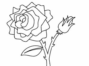 Картинка роза раскраска