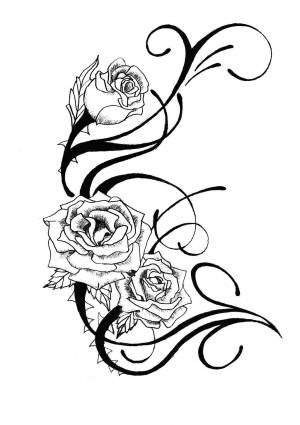 Раскраски Раскраска Розы цветы цветы