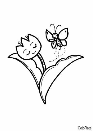 Раскраска Тюльпан и бабочка