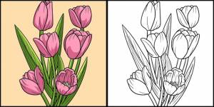 Тюльпан цветок раскраски страница цветные иллюстрации