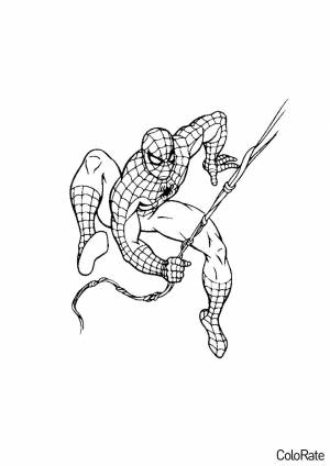 Раскраска Человек-паук на паутине
