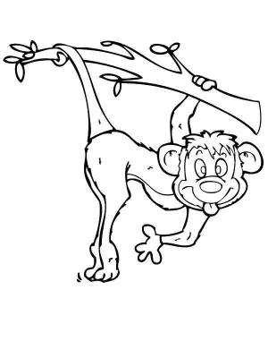 Раскраски Раскраска Смешная обезьянка Животные