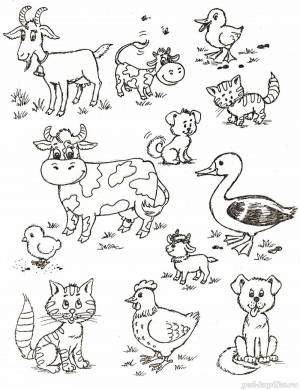 Раскраски Домашние животные и их детеныши для детей 3 4 лет