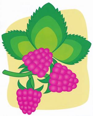 Раскраска Малина на ветке