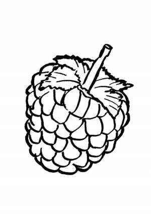 Раскраски, Малина