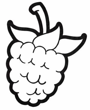 Раскраска Спелая малинка
