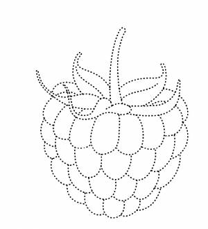 Раскраска малина по точкам