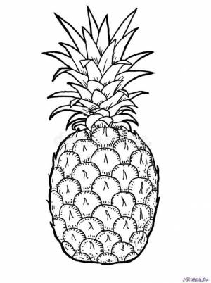 Раскраска ананас 6