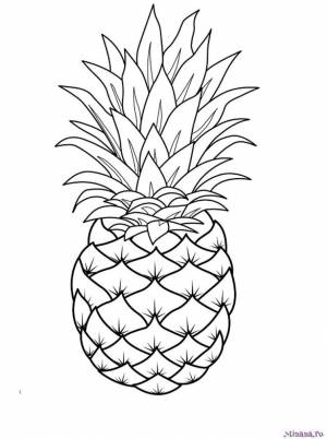 Раскраска ананас