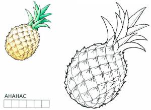 Раскраска ананас