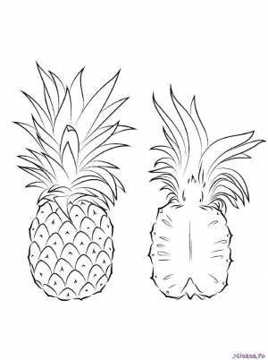 Раскраска ананас 7