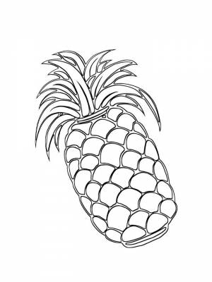 Раскраска Ананас  для девочек