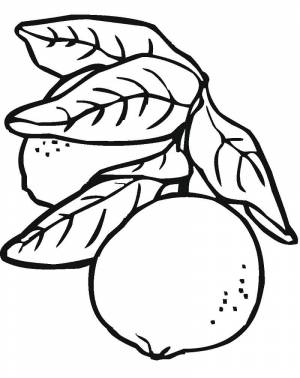 Раскраска лимон 1