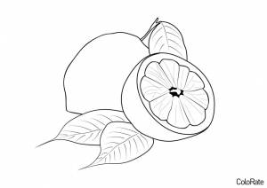 Раскраска Половинка лимона