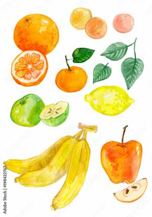 акварельный рисунок с изображением фруктов