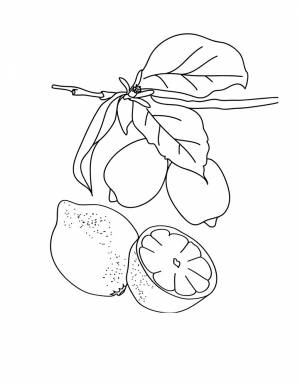 Раскраска лимон