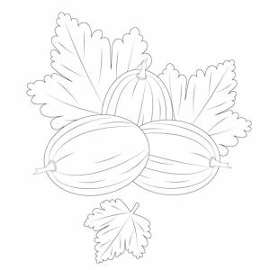 Раскраска для детей