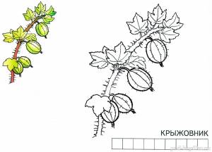 Детская раскраска