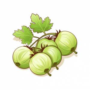 Ручной обращается крыжовник изолированный белый фон