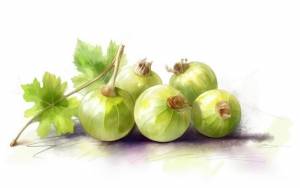 Нарисованный крыжовник на белом фоне акварельные ягоды иллюстрации сгенерированы ai