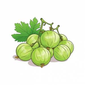 Ручной обращается крыжовник изолированный белый фон