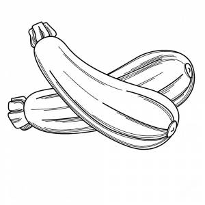 Раскраска Кабачок