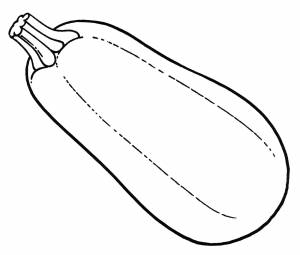 Раскраска Спелый кабачок