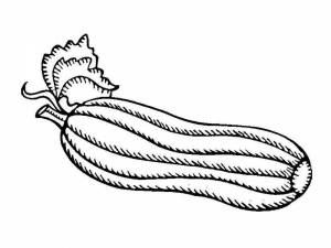 Раскраски Кабачок