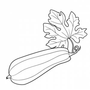 Раскраска Кабачок на грядке