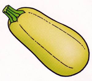 Кабачок детский рисунок