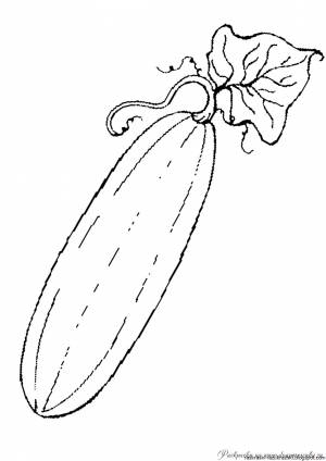 Раскраска кабачок