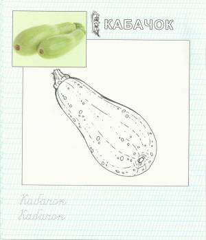 DataLife Engine > Версия для печати > Кабачок рисунок поэтапно