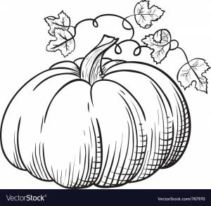 DataLife Engine > Версия для печати > Раскраска кабачок