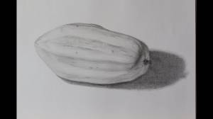 Учусь рисовать