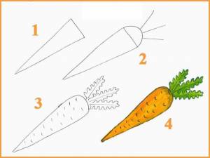 Овощи срисовки легкие пошаговые