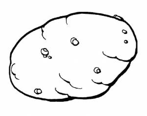 Раскраски картофель