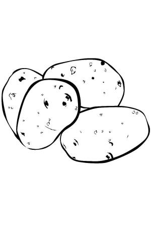 Раскраски картофелины, Раскраска Картофелины картофель