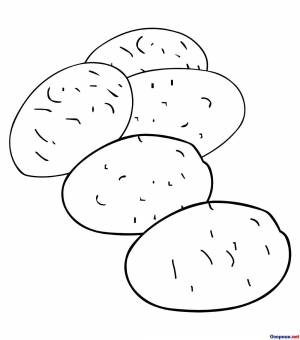 Картошка раскраска для детей