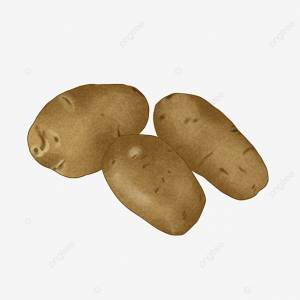 картофель PNG , овощи, Картофель овощной, Картофельный материал PNG рисунок для й загрузки