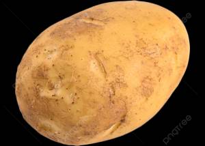 картофель изысканные овощи вектор PNG , картофель, питание, овощи PNG рисунок для й загрузки