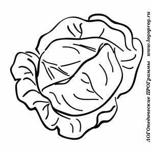 Картинки-раскраски на тему овощи