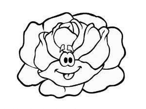 Раскраска Капуста