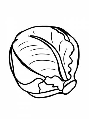 Раскраски Капусты   в формате