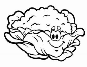 Раскраска Капуста