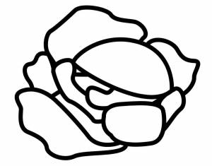 Раскраска Капуста 13