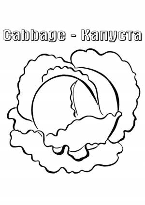 Раскраска капуста еда